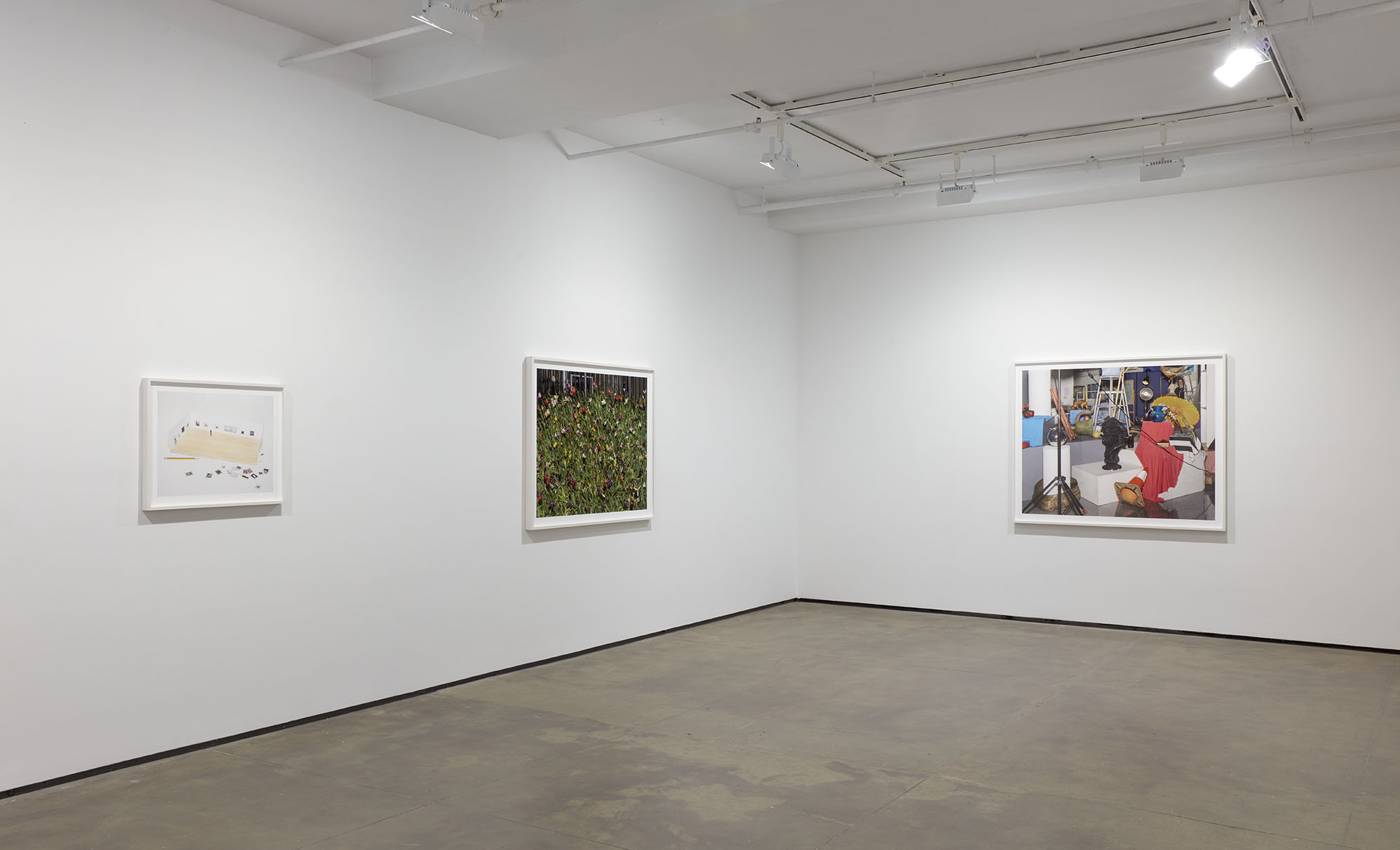 Installation view of Alec Soth: Advice for Young Artists at Sean Kelly, New York March 7 - April 18, 2025 Photography: Jason Wyche, New York Courtesy: Sean Kelly, New York